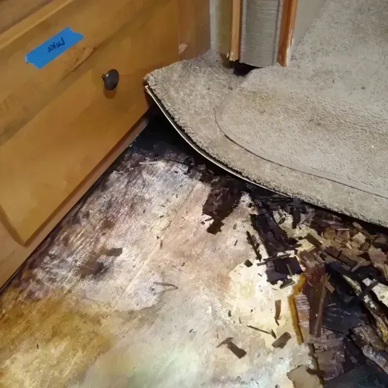 Wood Floor Water Damage in Carbondale, KS